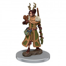 D&D Icons of the Realms Premium Figures Human Druid Female