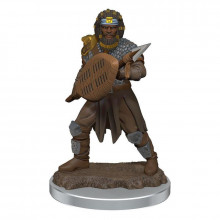 D&D Icons of the Realms Premium Figures Human Fighter Male