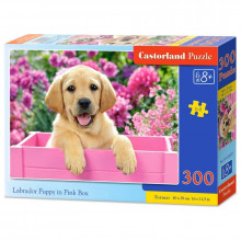 Puzzle Castorland Labrador Puppy in Pink Box 300 elementów